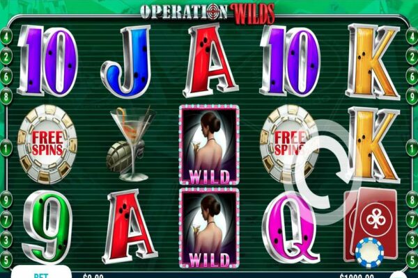Operation Wilds